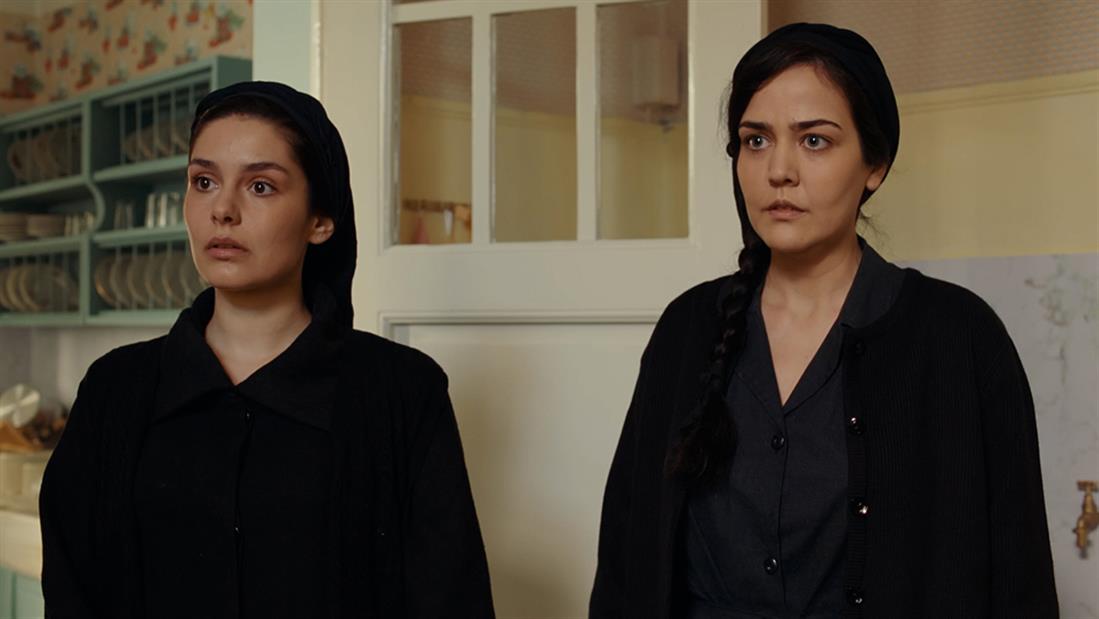 1100 02998687 7434 45a8 8c51 30b3d18c67f6