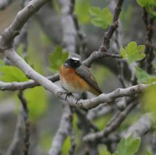 1η Σεπτεμβρίου