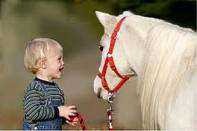 Στ’ άλογα... για την 77η Ιππική Έκθεση Ανδραβίδας