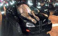 Άλογο συγκρούστηκε με Ι.Χ!!!