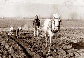 Ψώνισε από σβέρκο