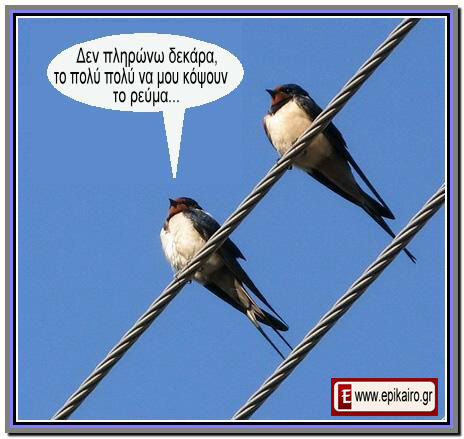 Τα πουλιά, έχουν λαλιά…