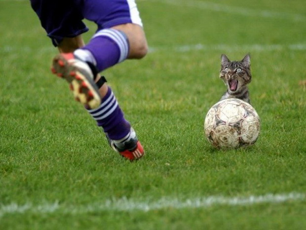 Πως βγήκε η φράση: "Όχι ρε πούστη μου"