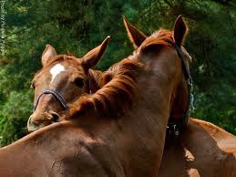 Ψώνισε καβάλα