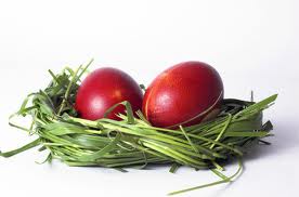 Κοκκινοπέφτη με «ευαγγελισμένα» αβγά