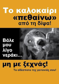 Όλοι είμαστε… «αδέσποτα»!