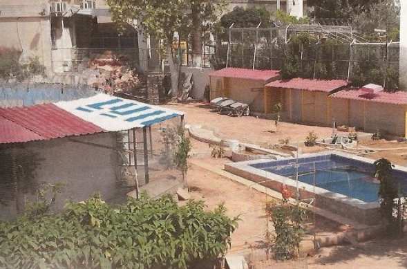 Έχτισαν πισίνα και μπάρμπεκιου μέσα στον Κορυδαλλό!