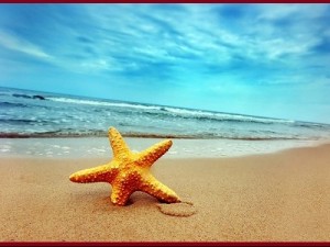 Καλοκαιρινές στιγμές των επωνύμων… Δείτε φωτογραφίες