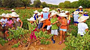 Στάη – Καρχιλάκη! Μοιράστηκαν μια λαχταριστή σοκολάτα…