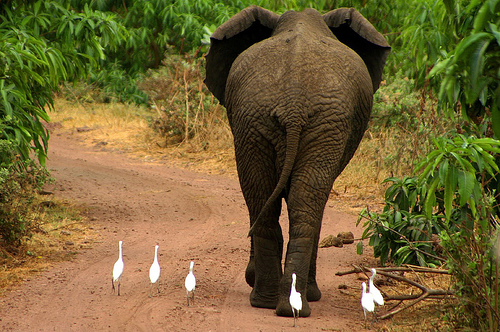 Συναγερμός για τους επενδυτές από το Kolokoloroute city…