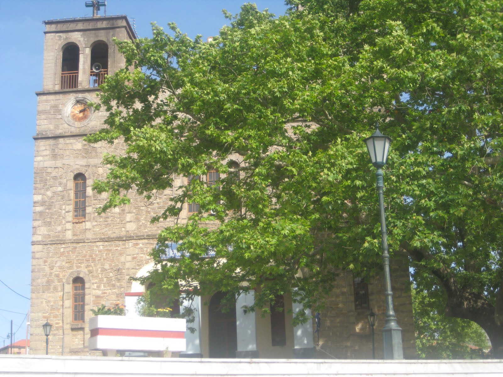 Πλάτανος! Ό,τι αγαπώ, ότι καμαρώνω από παιδί μικρό…