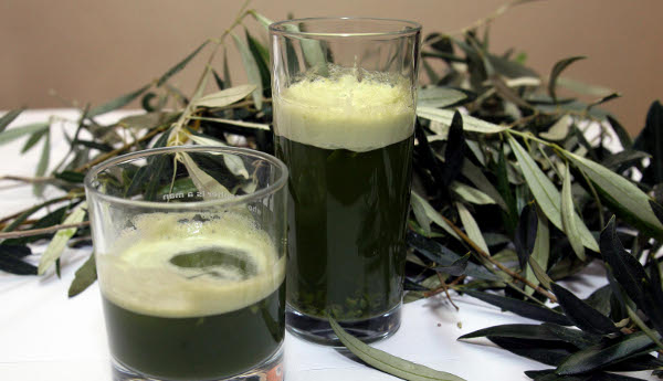 Η επιστροφή της «φραπελιάς»!!!