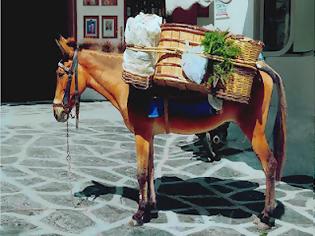 Ο γάιδαρος κι η μούλα ίσα φορτωμένοι