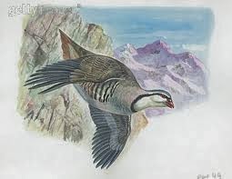 Αρωματίστε τα ρούχα στην ντουλάπα σας…