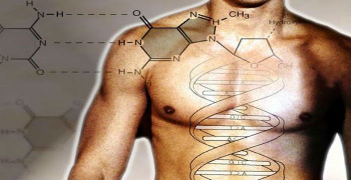 Αυτά είναι τα τέσσερα τρόφιμα που χαλούν την άμυνα του DNA!!!