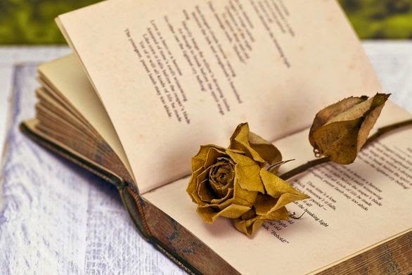 5ος διαγωνισμός ποίησης Ομοσπονδίας Εξωραϊστικών και Εκπολιτιστικών Συλλόγων Αρτέμιδος- Σπάτων