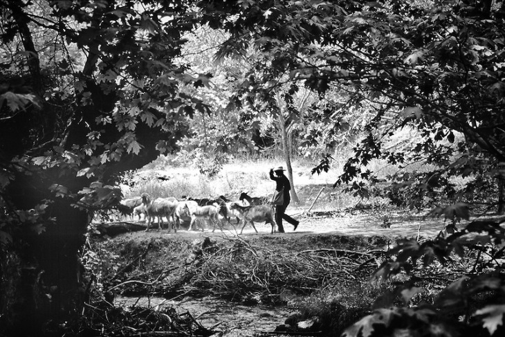 25 συμβουλές ζωής από ένα γεροβοσκό...