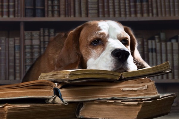 10 Γλωσσοδέτες που μάθαμε όταν ήμασταν παιδιά…