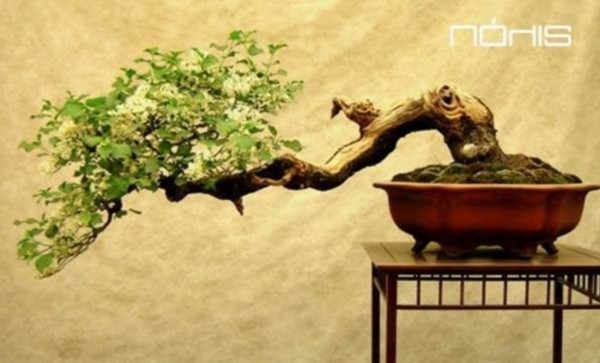 "Μουσικές του Κόσμου" Βραδιά Αφιέρωμα & Δωρεά Βιβλίων σε Ευπαθείς Ομάδες…