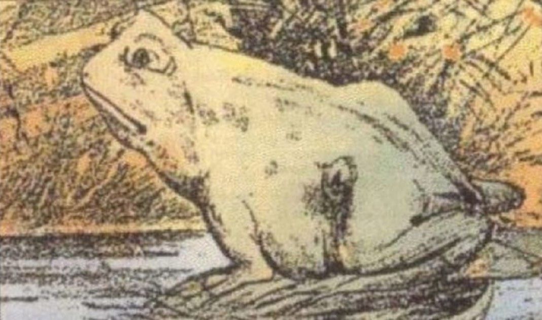 99 στους 100 ανθρώπους δεν εντόπισαν  το άλογο στην εικόνα με τον βάτραχο. Εσύ θα το βρεις;