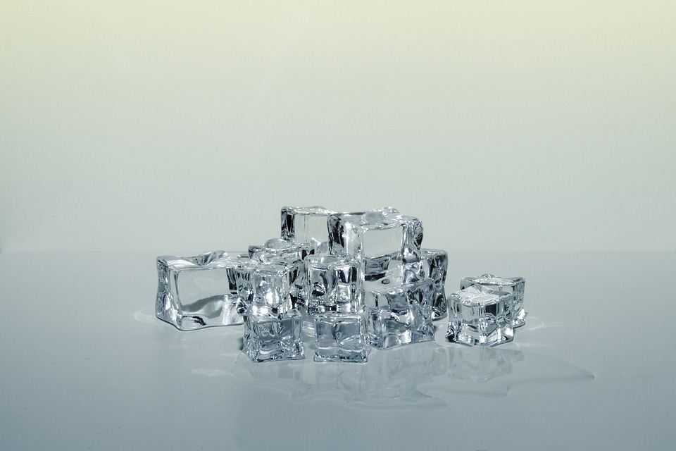 Ο παπαγάλος και η γαλοπούλα, στην κατάψυξη!!!