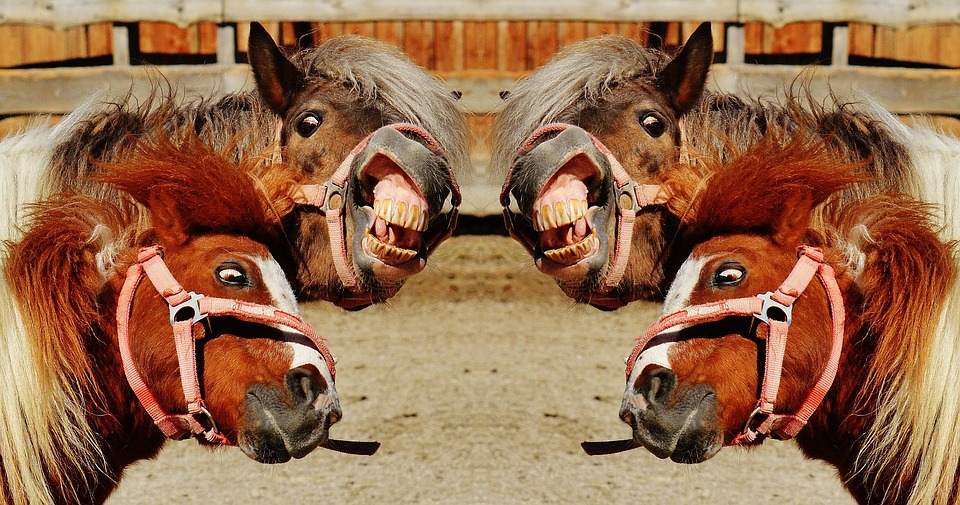Οι μίζεροι άνθρωποι δεν κατάφεραν ποτέ να απολαύσουν την ζωή