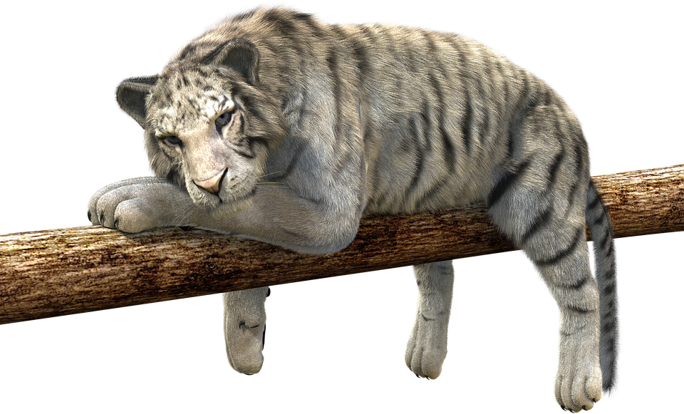 Fake news… και το ψέμα πάει σύννεφο!!!