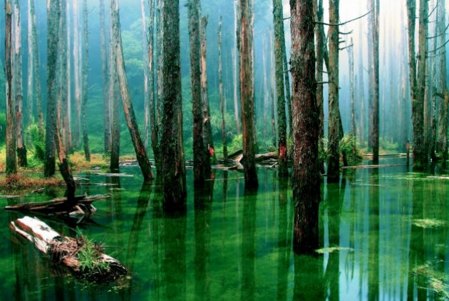Ανακάλυψε 16 απίστευτα πράγματα που δεν ήξερες για τον Αμαζόνιο…