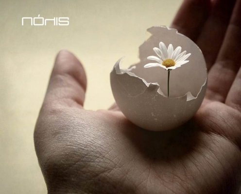 ΑΥΤΟΓΝΩΣΙΑ ΚΑΙ ΑΝΑΣΤΟΧΑΣΜΟΣ ΣΤΙΣ 11 ΕΠΙΓΝΩΣΕΙΣ ΤΗΣ ΣΟΦΙΑΣ ΤΩΝ ΑΝΔΕΩΝ ΤΟΥ ΠΕΡΟΥ 