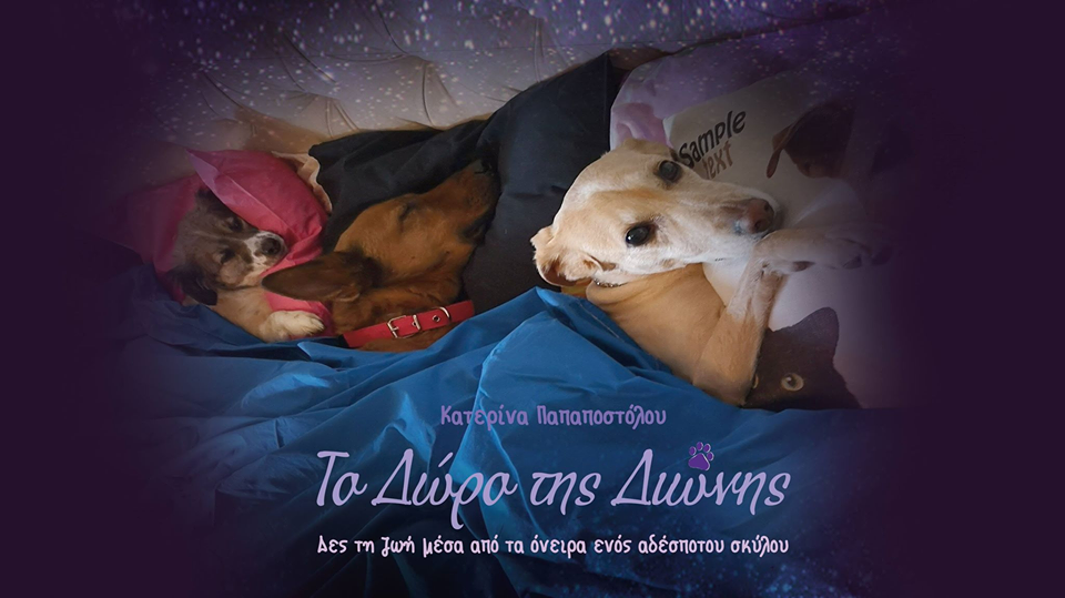 ΤΟ ΔΩΡΟ ΤΗΣ ΔΙΩΝΗΣ:  δες τη ζωή μέσα από τα όνειρα ενός αδέσποτου σκύλου