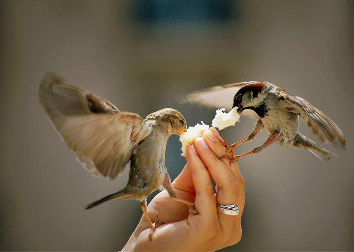 Η καλοσύνη δεν είναι αδυναμία, είναι δύναμη…