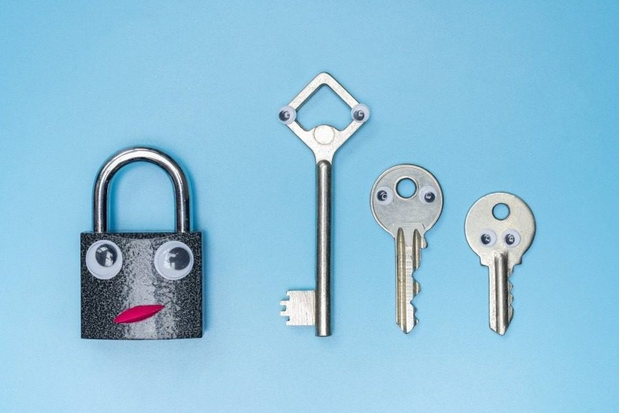 Ανέκδοτο: Κλέφτης στο σπίτι…