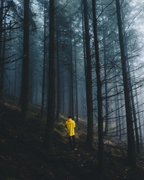 Μη νιώθεις Ενοχή για τις επιλογές σου