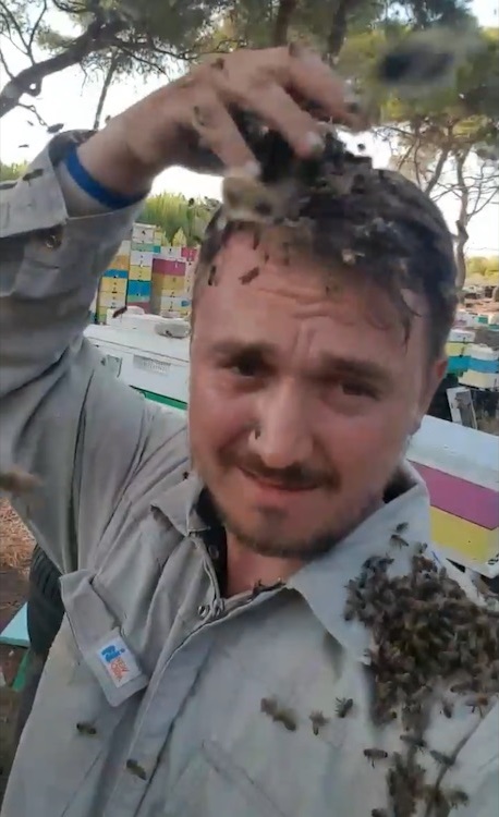 Viral: Μελισσοκόμος από τη Ζαχάρω παίζει με τις μέλισσές του…