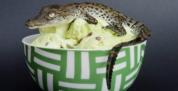 Τα πιο παράξενα (και πιο hardcore) παγωτά του κόσμου!!!