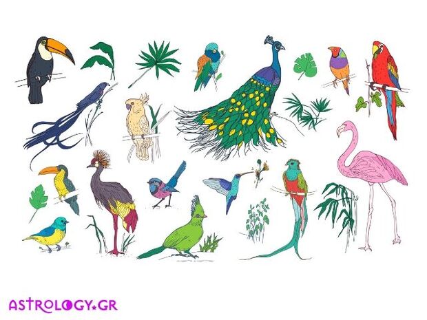Βρες το πτηνό που αντιστοιχεί στο μήνα γέννησής σου και μάθε τι αποκαλύπτει για σένα!!!