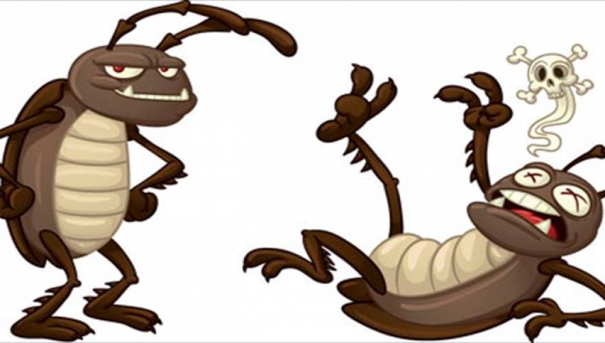 Πράγματα που δεν (θα θέλατε να) ξέρετε για τις κατσαρίδες!