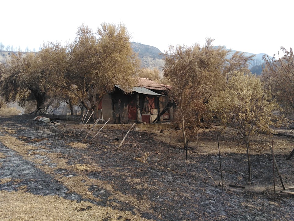 Αποζημιώσεις πυρόπληκτων: Πότε ανοίγει η πλατφόρμα - Τα στάδια της διαδικασίας