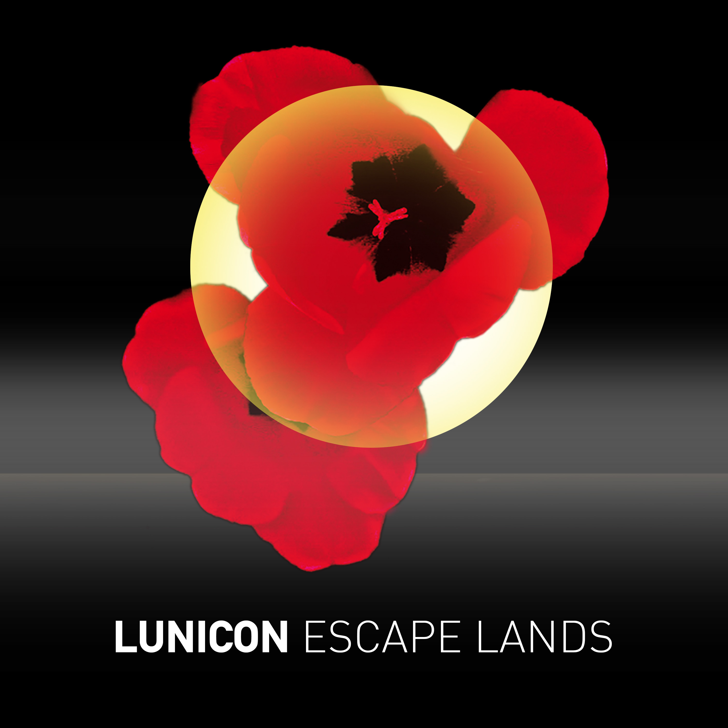 O Lunicon γράφει μουσική για τη δική σου ταινία  