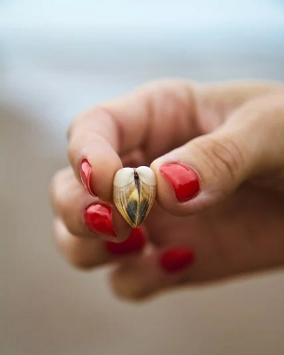 Ανέκδοτο: Ο δικηγόρος και η σύζυγος με τα εννιά διαζύγια!!! 