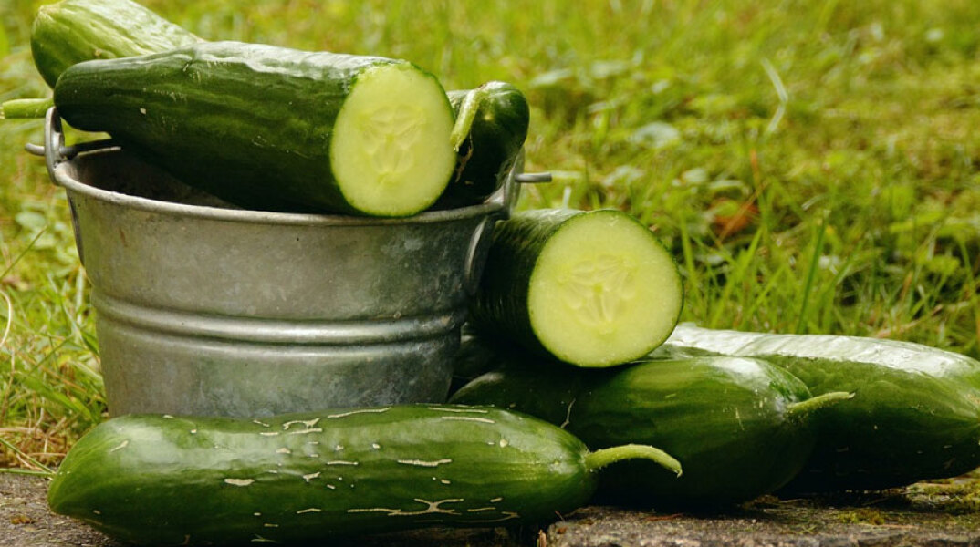 Ανέκδοτο: Οι κήποι… των εκπλήξεων