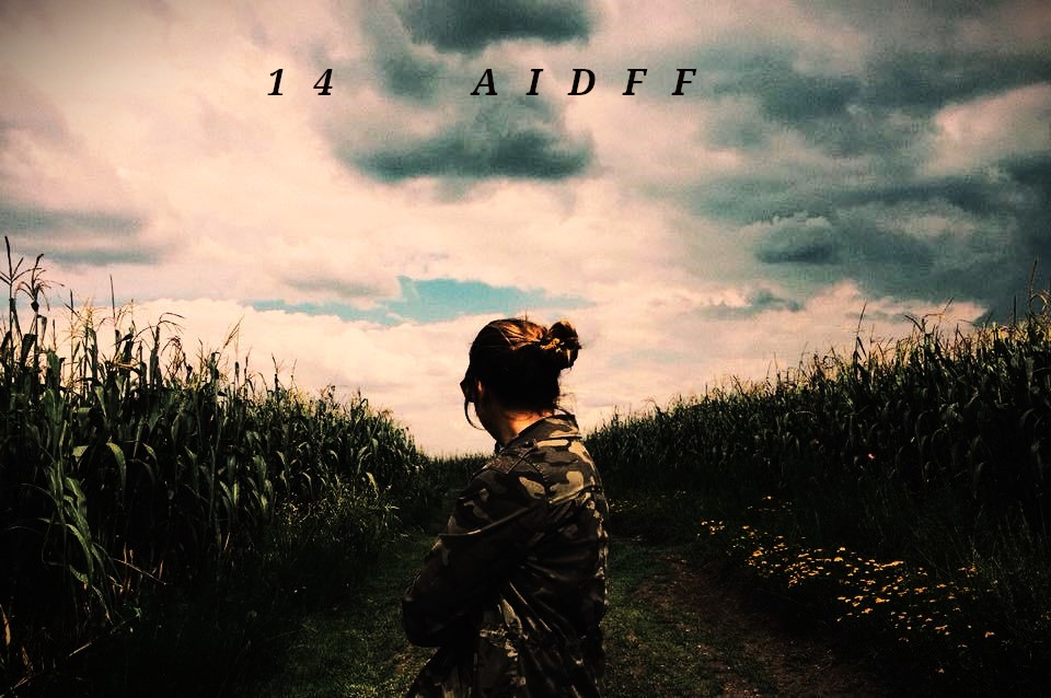 Στην Ψηφιακή Ρωγμή του Βλέμματος