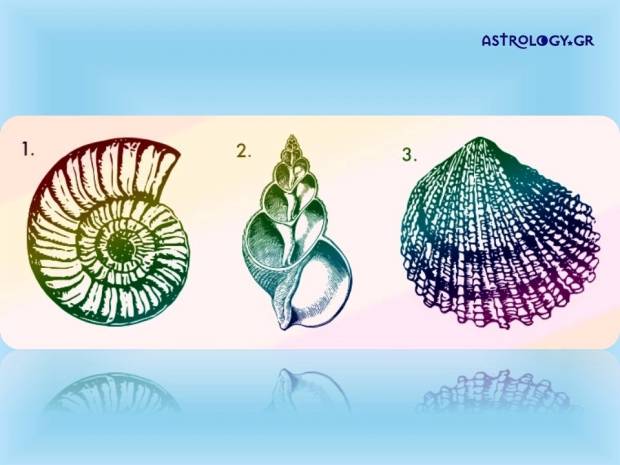 Τα τρία κοχύλια που αναδεικνύουν την κρυμμένη πλευρά του εαυτού σου!