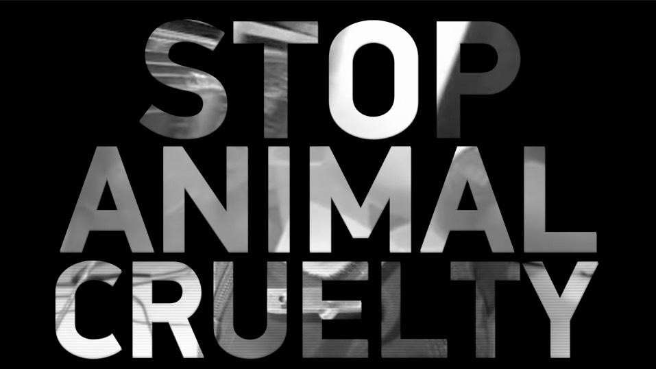 «Ξύπνα!», από την Κωνσταντίνα Νικολαΐδη