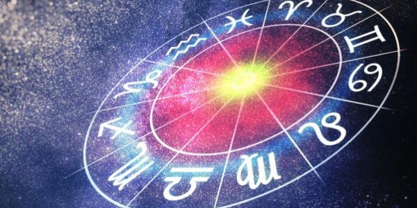 Όταν τα ζώδια βγάζουν παροιμίες…