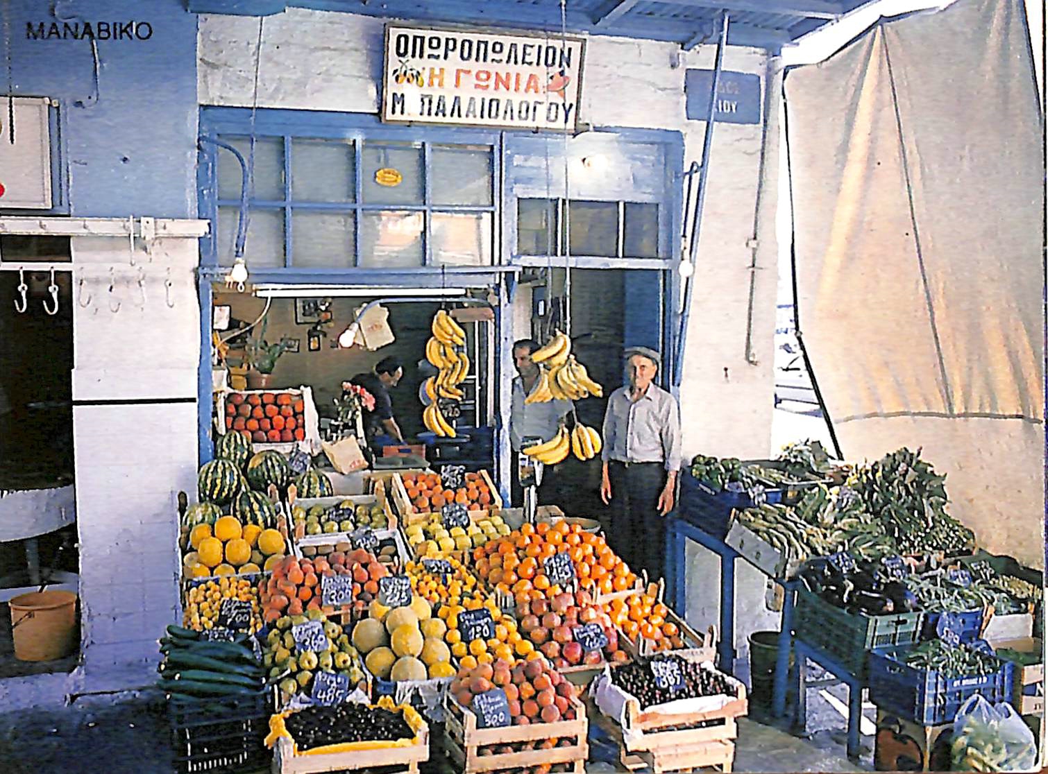 ΜΑΝΑΒΙΚΟ ΠΑΛΑΙΟΛΟΓΟΥ ΑΝΤΩΝΑΚΑΚΗΣ