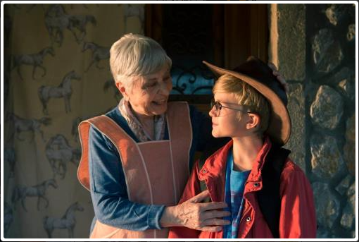 ΠΑΠΑΘΕΟΔΩΡΟΥ ΕΦΗ