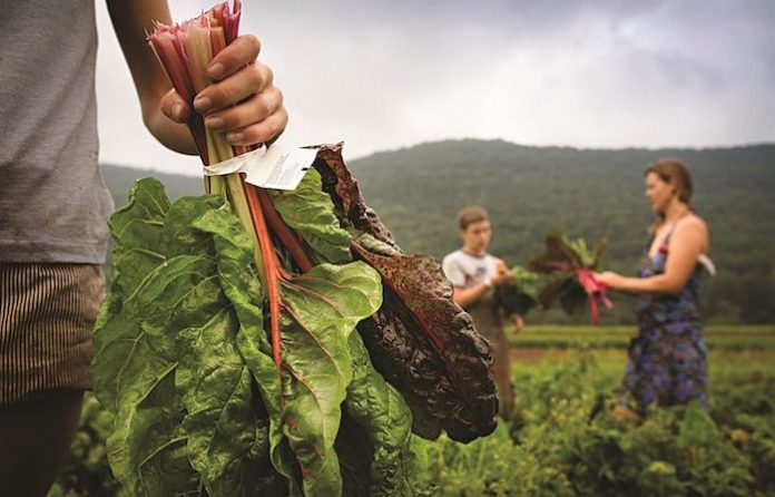 Πώς μπορούμε να σταματήσουμε να «τρώμε» τον πλανήτη;