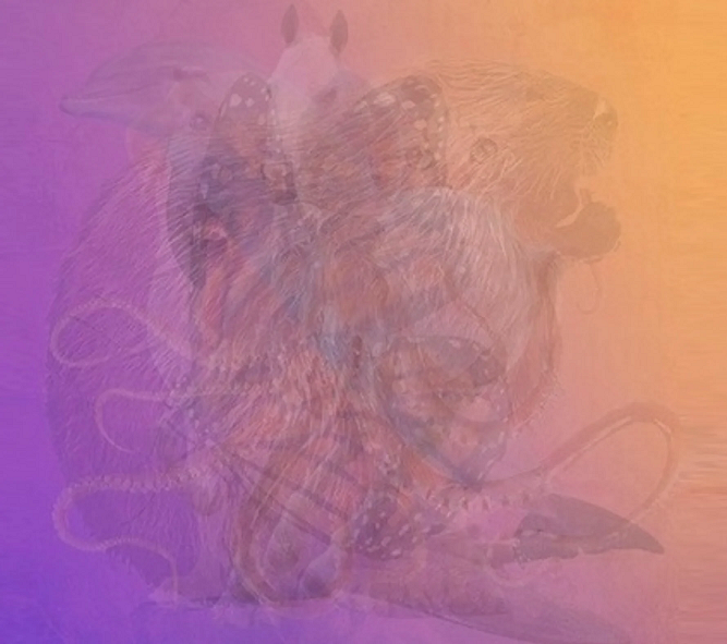 Σάλος με το συγκεκριμένο τεστ στο διαδίκτυο: Εσείς τι βλέπετε πρώτο στην εικόνα;