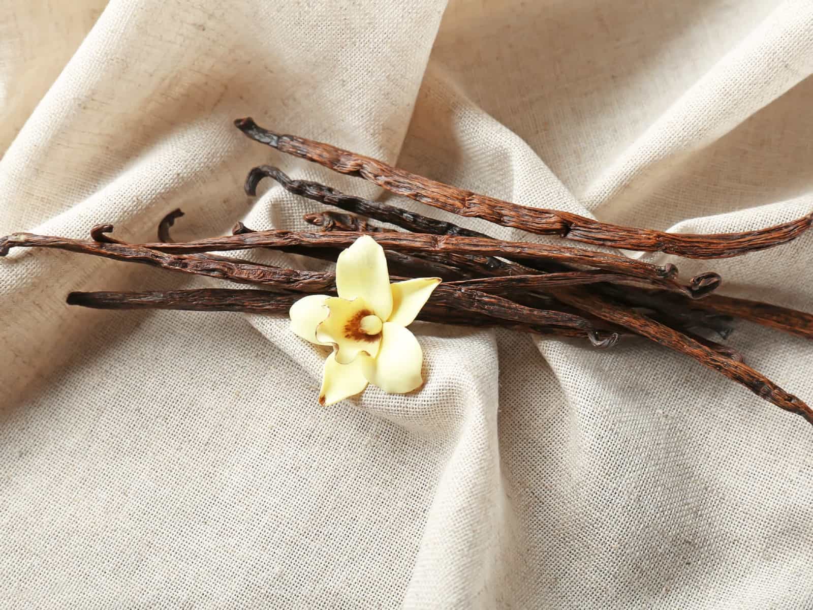 Το κόλπο με το εκχύλισμα βανίλιας για να διώξετε τις ανεπιθύμητες μυρωδιές από το σπίτι σας